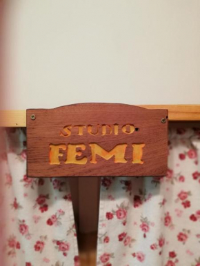 Гостиница Studio Femi  Ровинь